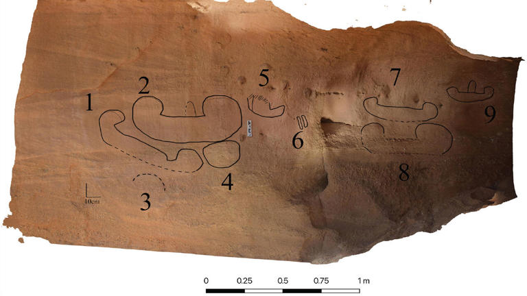 Sahara was ooit weelderig groen, blijkt uit rotstekeningen van 4.000 jaar geleden die vee afbeelden