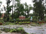 Storms pummel northern Florida; widespread damage in Tallahassee: Weather updates<br><br>