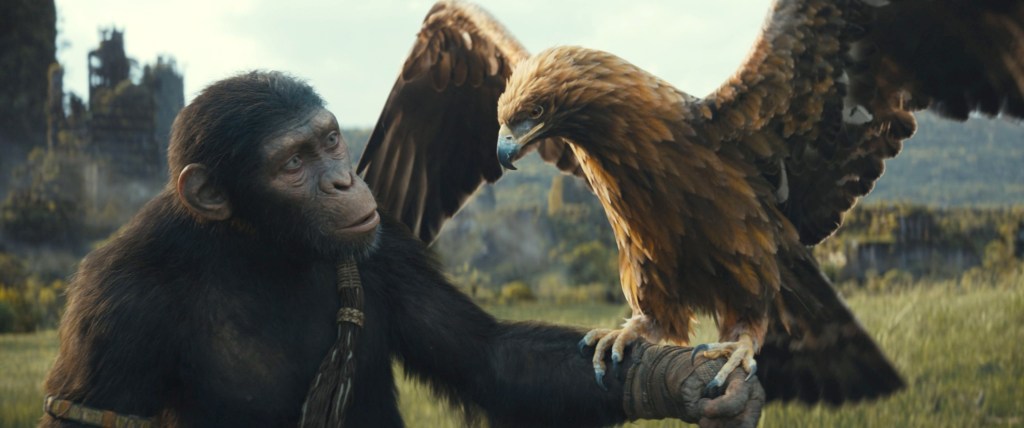box office: ‘kingdom of the planet of the apes' makes $6.6 million in previews