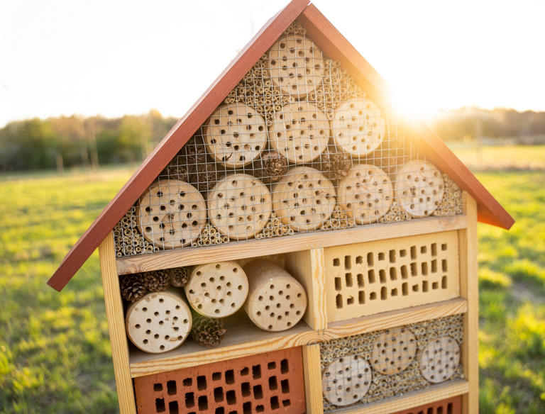 Create a Bug Hotel to Draw Helpful Garden Insects