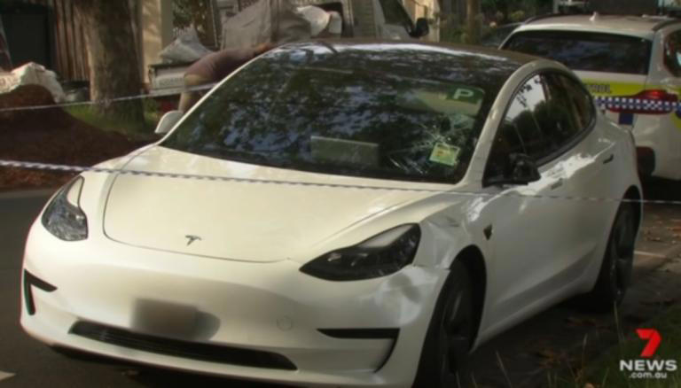 Woman falsely blamed Tesla autopilot for hit-and-run that left victim ...