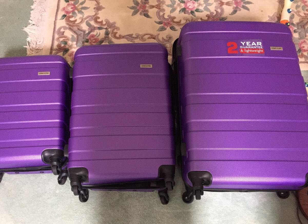 <p>Although their unique purple design is sure to make Lemoone's cases stand out from other luggage manufacturers at the baggage claim, the only other factor that Lemoone seems to have going for it is its affordable price point.</p> <p>While it's true that some customers swore by its durability, others mentioned that any bump or outer pressure had a way of cracking the ABS plastic case. Worse yet is the fact that within six months, many customers reported the wheels falling off and the zippers breaking apart.</p>