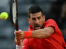 Novak Djokovic OK after being struck in head with metal water bottle in Rome<br><br>