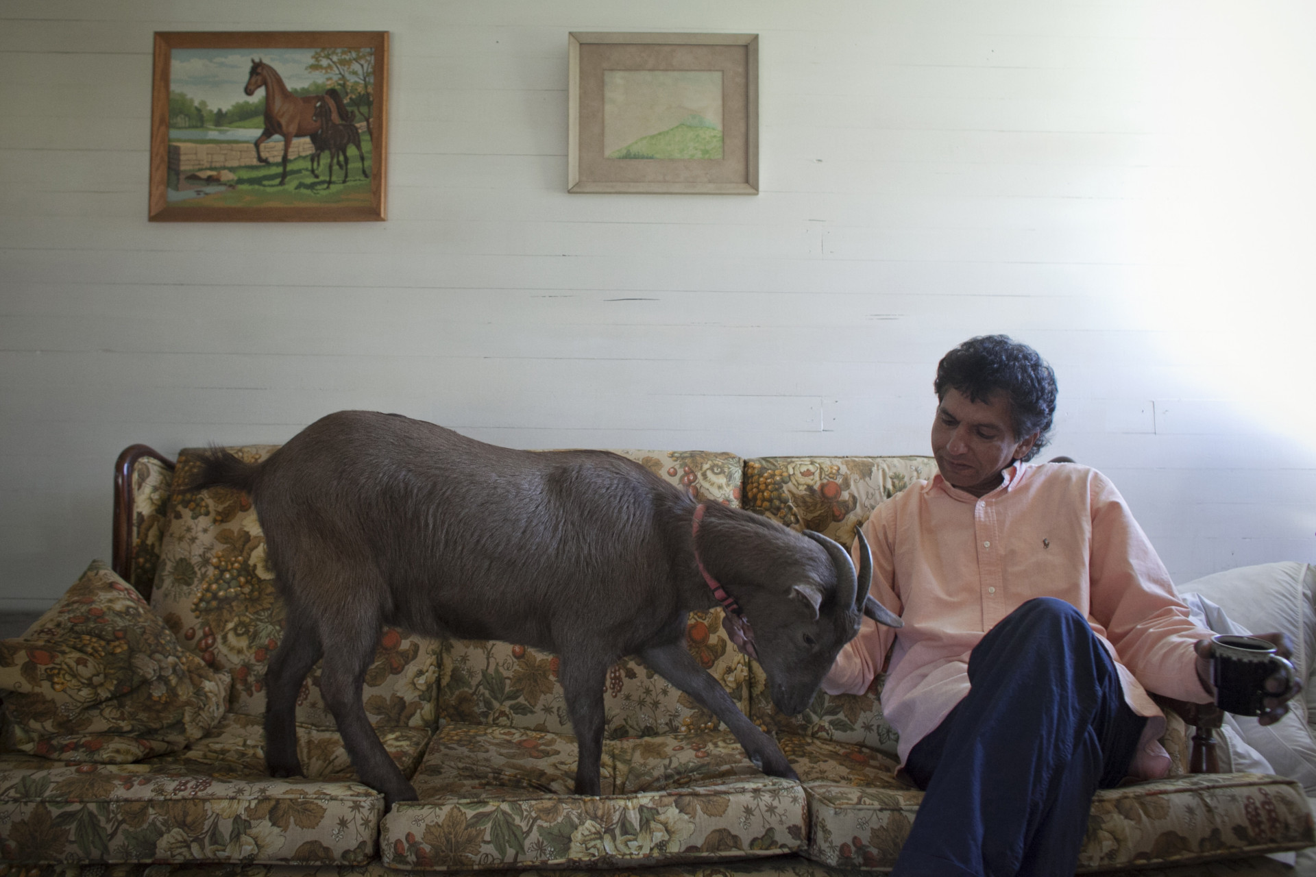 The Beautiful Bond Between Pets And Their Owners