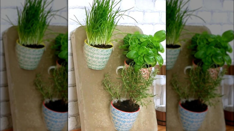 Repurpose Old Tea Cups Into A Custom Tiered Planter