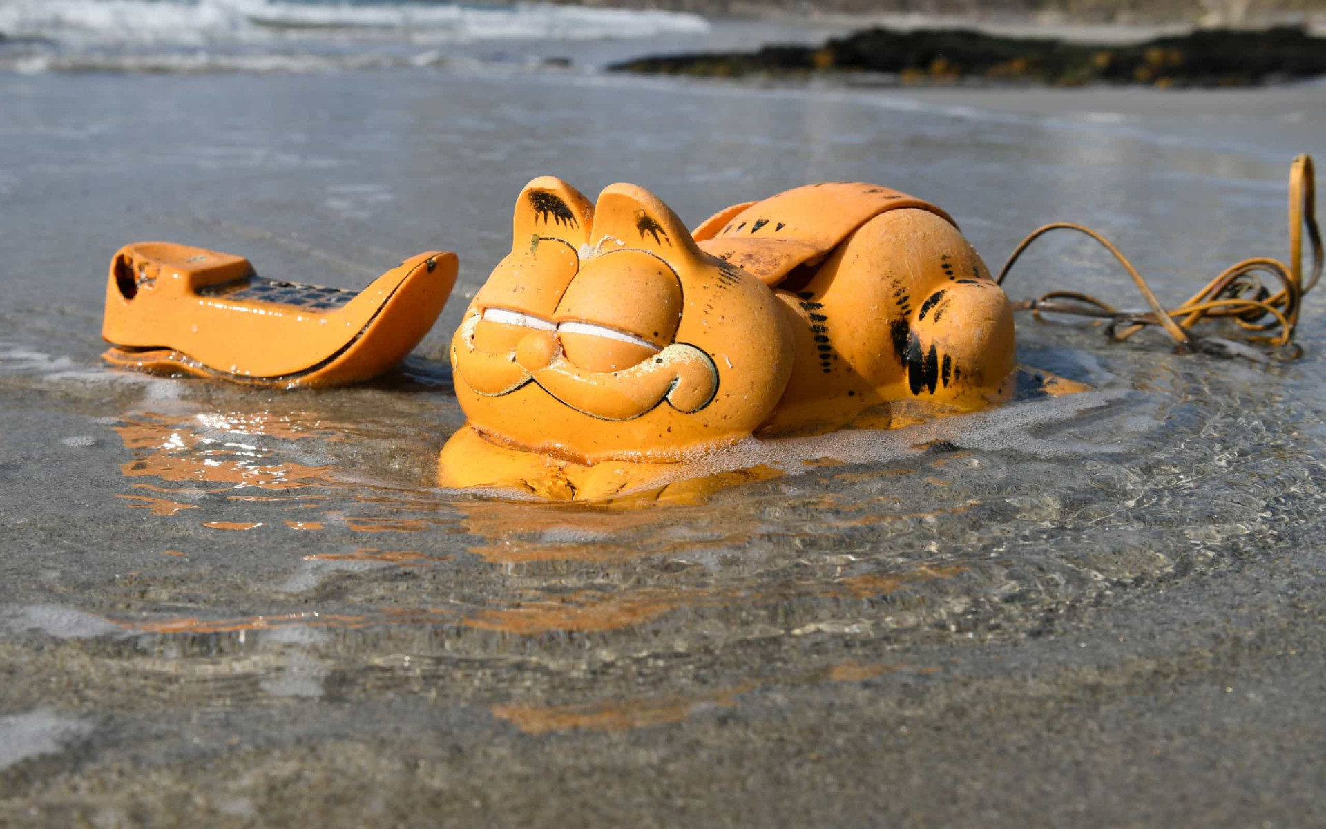 Weird things that have washed up on beaches