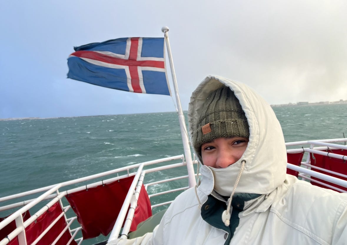 <p>While in Iceland, I wanted to find an excursion that didn't require me to get on the road, so I spent about $120 to go <a href="https://www.businessinsider.com/mexico-whale-watching-trip-baja-expeditions-worth-it-2024-3">whale-watching</a>. I booked the last-minute adventure at a brick-and-mortar Gray Line Iceland location in downtown Reykjavík.</p><p>The <a href="https://www.businessinsider.com/dolly-parton-heartsong-resort-review-mountain-view-near-dollywood-2023-11">mountain views</a>, beautiful ocean, and the whales putting on a show were amazing. The boat had plenty of space, and the staff served coffee and hot chocolate.</p>