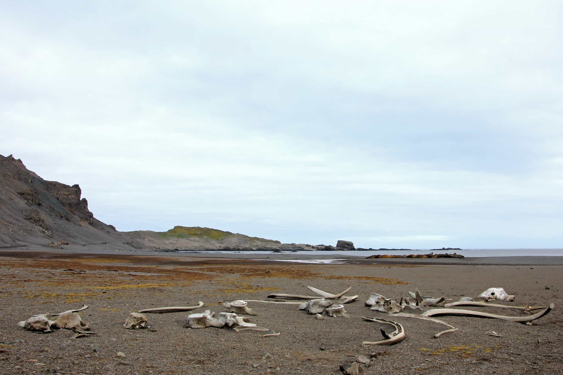 Weird Things That Have Washed Up On Beaches