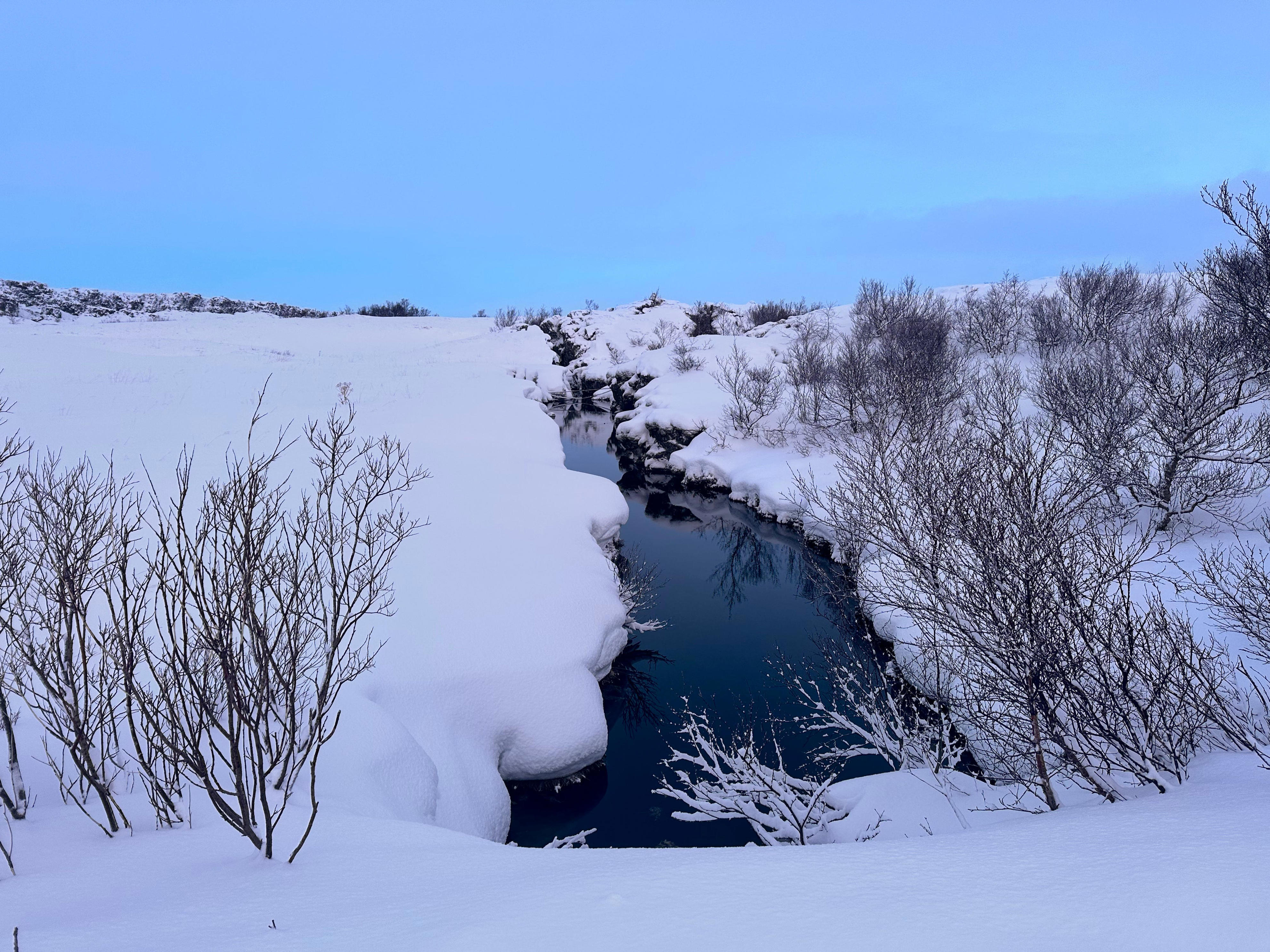 <p>Though it was freezing, I was excited to go snorkeling between the North American and Eurasian tectonic plates. I paid $150 to go snorkeling and $30 for a diver to snap photos with a company called <a href="https://www.dive.is/">Dive.IS</a>.</p><p>Once I got in my wetsuit, which was surprisingly warm, the instructor taught me about how the tectonic plates shifted. Then, we set out on the 30-minute snorkeling journey.</p><p>The buoyancy of the wetsuit made it easy to stay afloat, and I fully enjoyed the clear, refreshing water.</p>