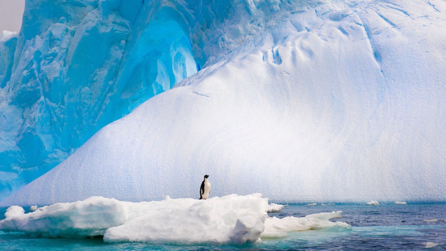 <p>Known as ‘Iceberg Alley,’ Antarctic Sound features a surreal landscape of towering ice formations and icy waters where penguins wander in the hunt for fish. It's like stepping into another world, a peaceful escape from endless emails and office noise. Just thinking about this cold and quiet wilderness can give you a moment of peace amid a hectic day.</p>