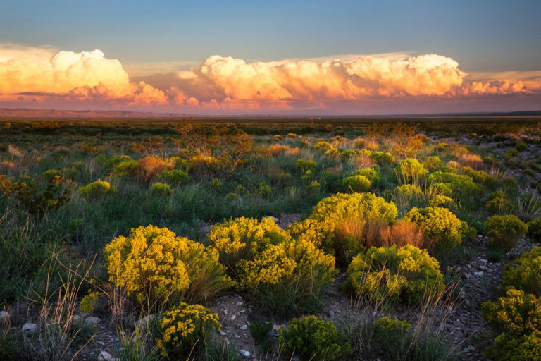 New Mexico named one of the 50 best places to visit in 2027
