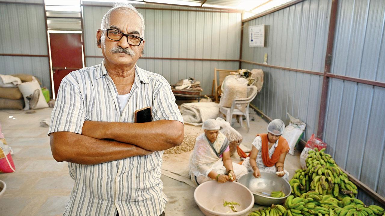 Doing what's kneadful to save bananas- Jalgao Farmer
