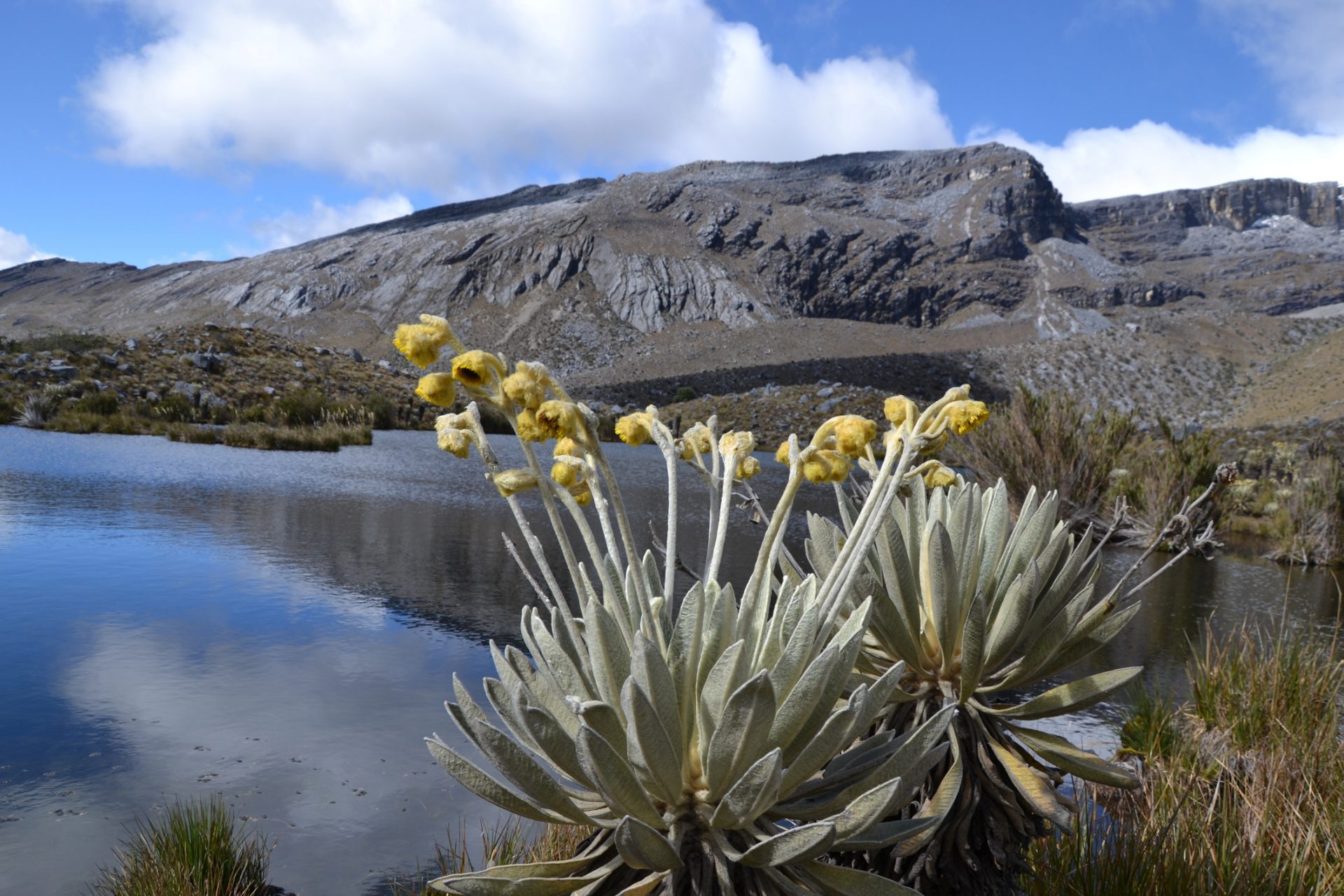 Los 15 destinos ecoturisturísticos más impresionantes de Latinoamérica