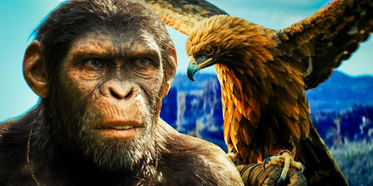 Kingdom Of The Planet Of The Apes' Eagles & Deeper Meaning Explained