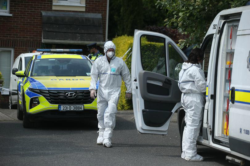 kildare murder: man dies after being 'stabbed in chest during party' as locals tell of shock