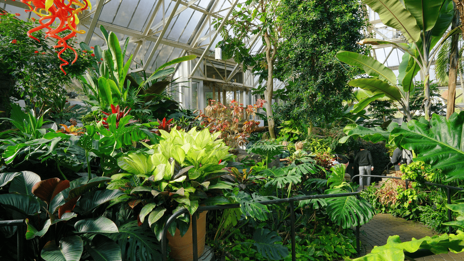 <p>Ohio’s <a href="https://www.fpconservatory.org/" rel="nofollow external noopener noreferrer">Franklin Park Conservatory and Botanic Gardens</a> are an exceptional display of natural beauty. Based in Columbus, the gardens have everything from a palm house to a historic conservatory and art gallery. Franklin Park hosts many seasonal events, such as craft workshops, garden classes, and adults-only cocktail hours.</p>