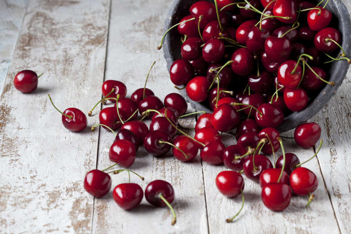 microsoft, cherry consumption: nutrition professionals weigh in on the optimal amount.