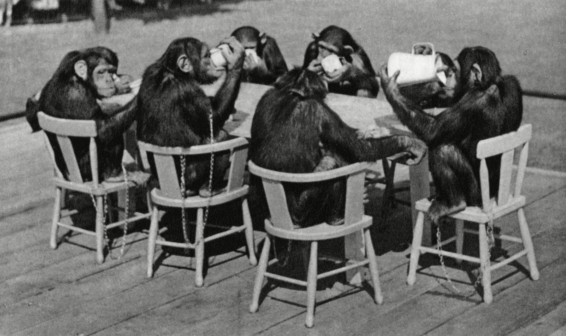 Historical pictures of old zoos from the last centuries