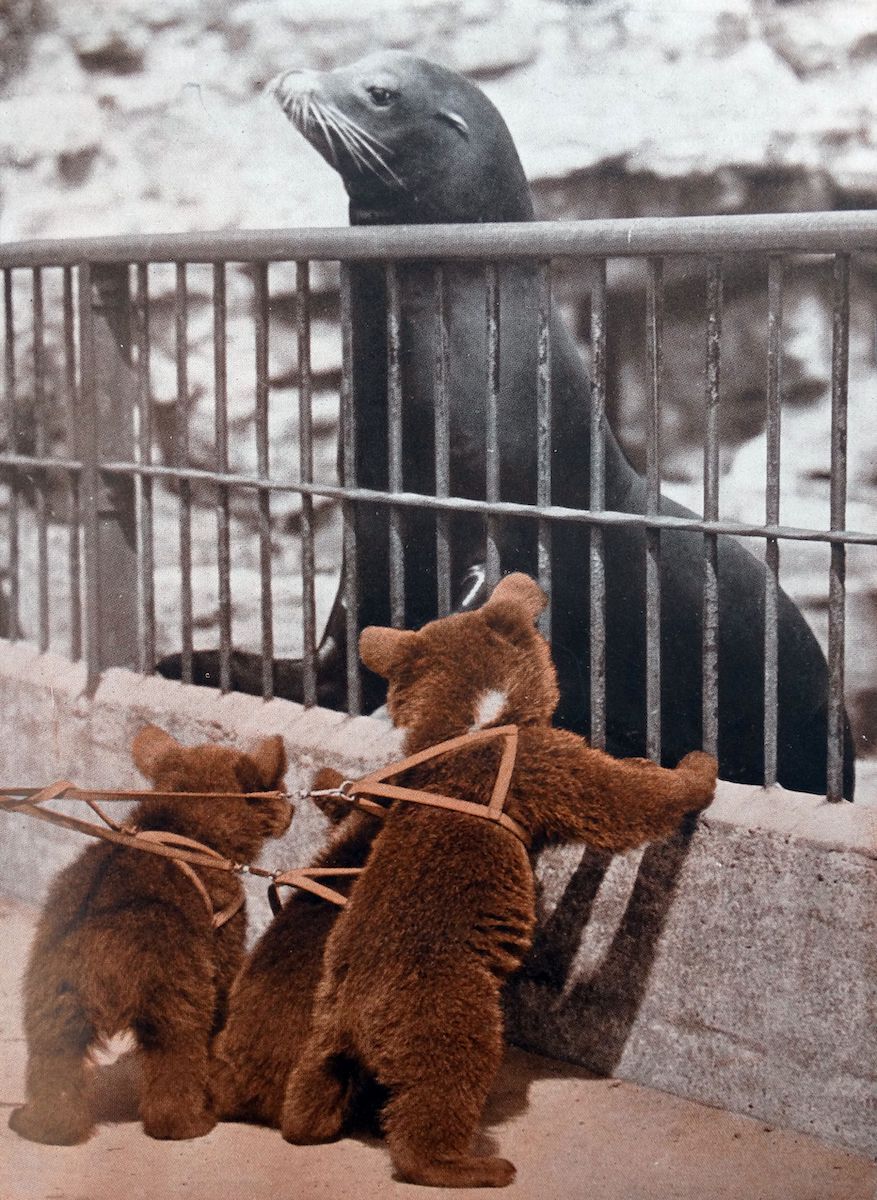 Historical pictures of old zoos from the last centuries