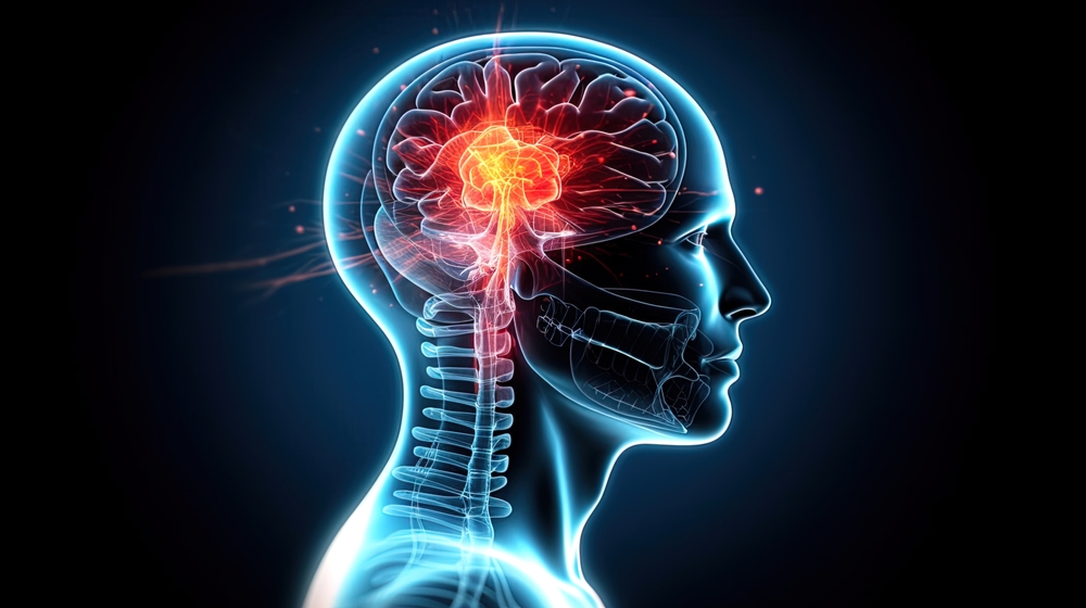 <p>The brain operates on the same amount of power as a 10-watt light bulb, even when you’re sleeping. The electrical activity generated by the brain is enough to power a small light bulb, highlighting the organâs efficiency and energy management.</p>