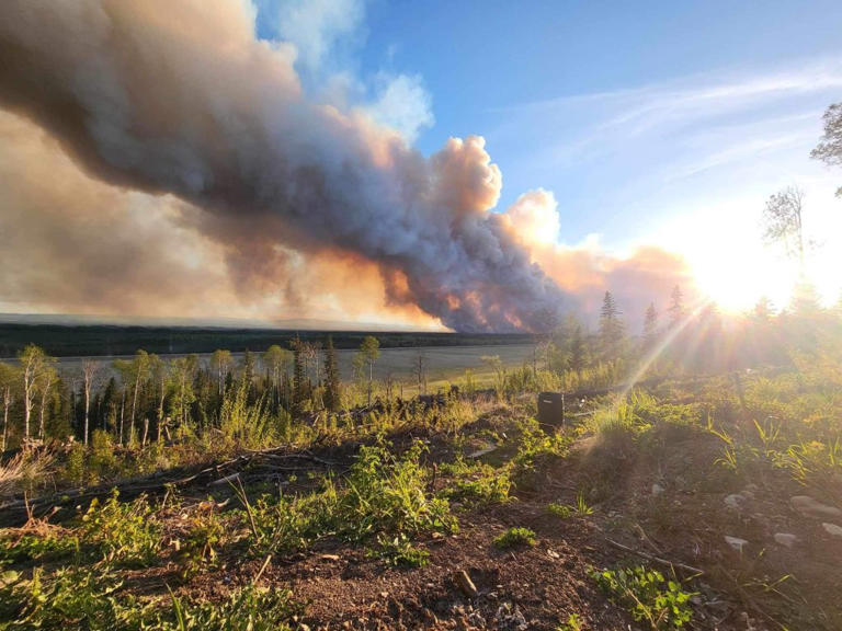 B.C. wildfires: Fort Nelson residents help feed crews as Parker Lake ...