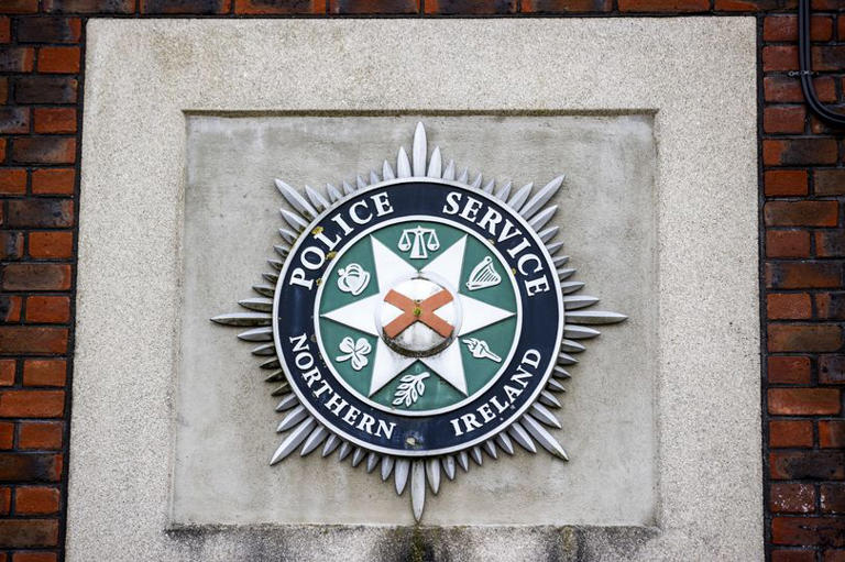 Three suffer head injuries in alleged Newtownards garden assault by two ...