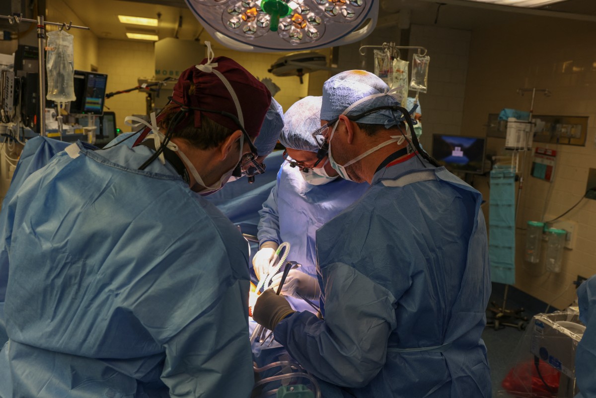 man who received pig kidney transplant dies weeks after surgery