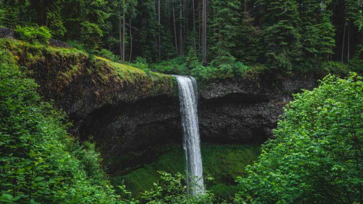 10 Waterfall Hikes Near Bend That Are Worth Visiting