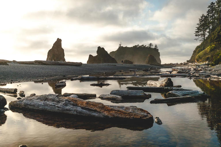Ruby Beach is a quarter-mile walk from the parking lot, and it comes ...