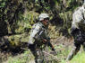 8 people killed in mass shooting near resort town in Mexico<br><br>