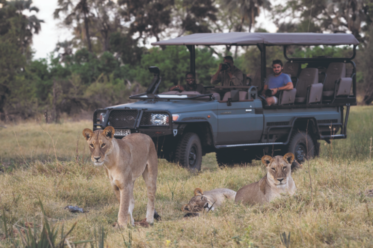 This Botswana safari offers these things others in Africa don’t