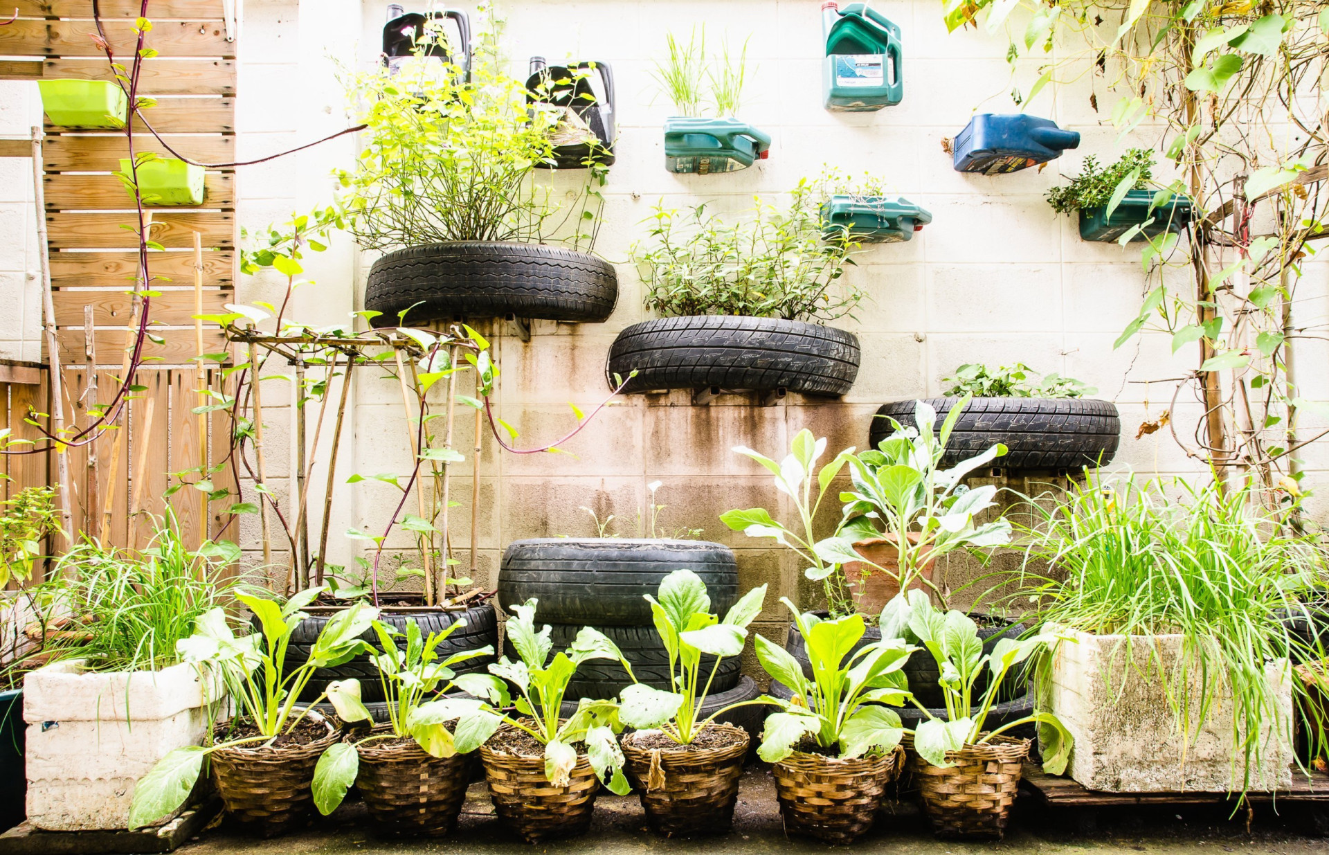 How to grow food in the city