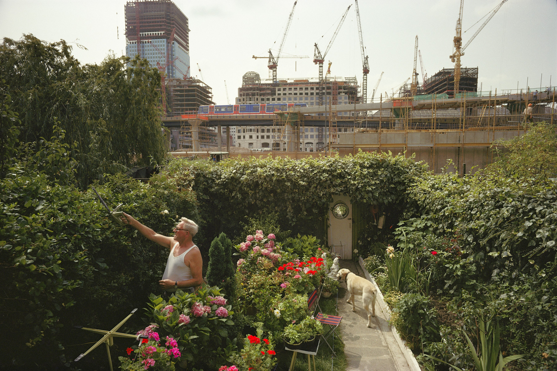 How to grow food in the city