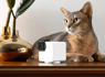Celebrate Pet Month With Clever Pet Cams for Your Furry Friends<br><br>