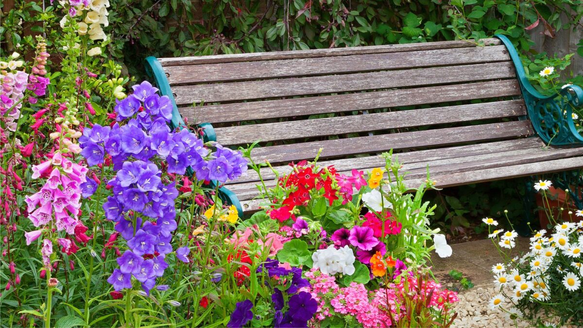 Plants with Bell Shaped Flowers