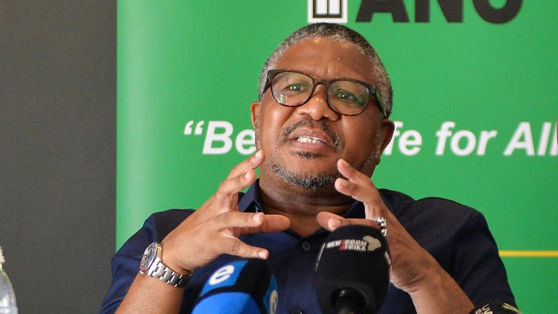 proteas t20 world cup squad not a fair representation of sa, says ex-sports minister fikile mbalula