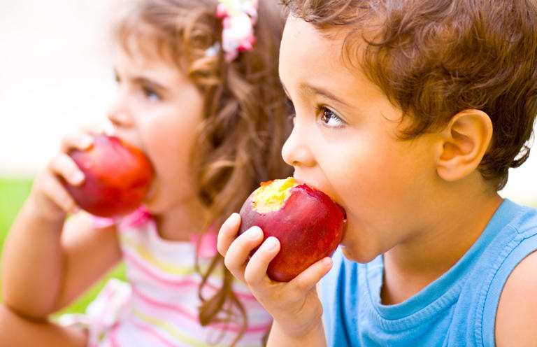 Photo of children eating apples. Apples contain natural sugars, which were actually associated with a reduced risk of childhood obesity.