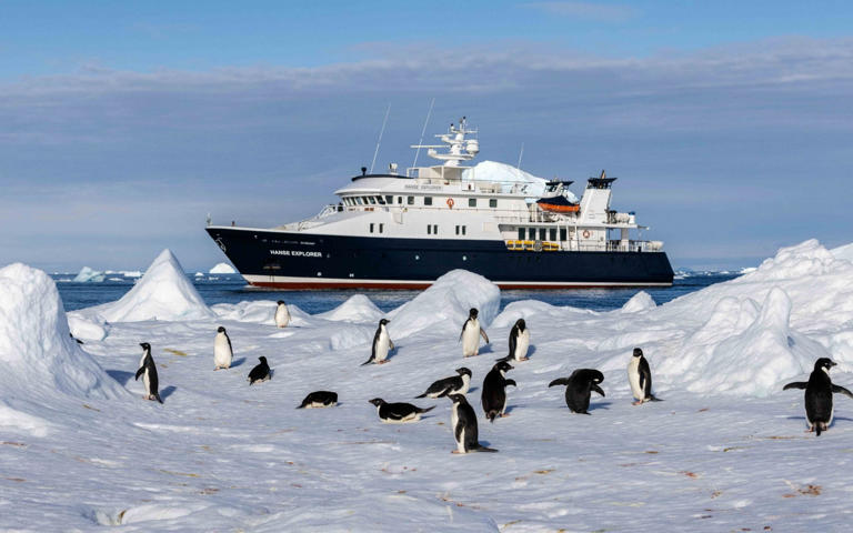 'Off the beaten cruise track': the Hanse Explorer in Antarctica - EYOS/mosaicstudios.io