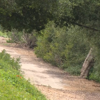 Mission Viejo residents put on alert after mountain lion spotted over weekend<br>
