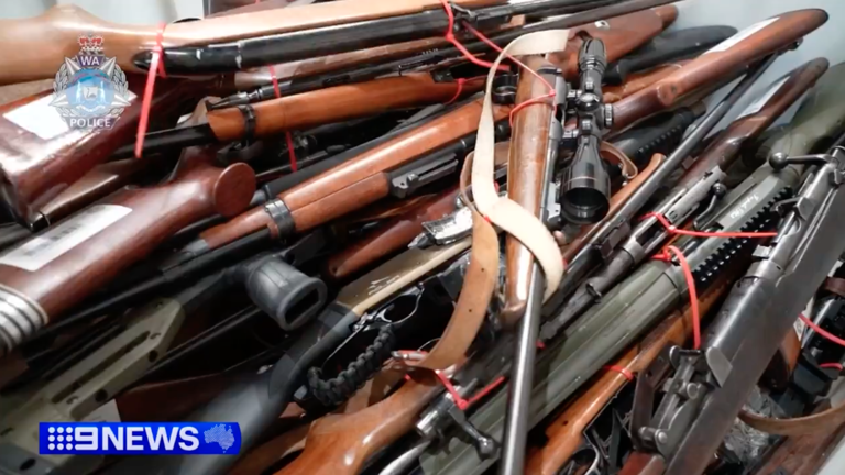 Opposition accused of trying to 'gut' WA's new gun laws