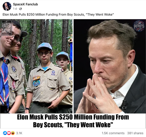 Fact Check: About The Claim That Elon Musk Pulled Funding From Boy ...