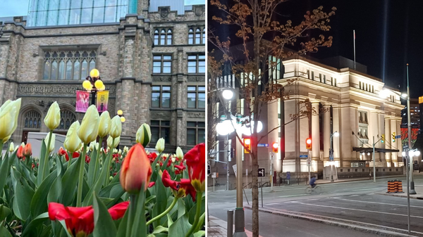 THIS WEEK IN OTTAWA: tulips, bike days, a drone show and a roller skate party