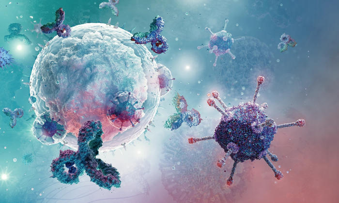 what is the ‘immune self,’ and how can this concept benefit immunological research?