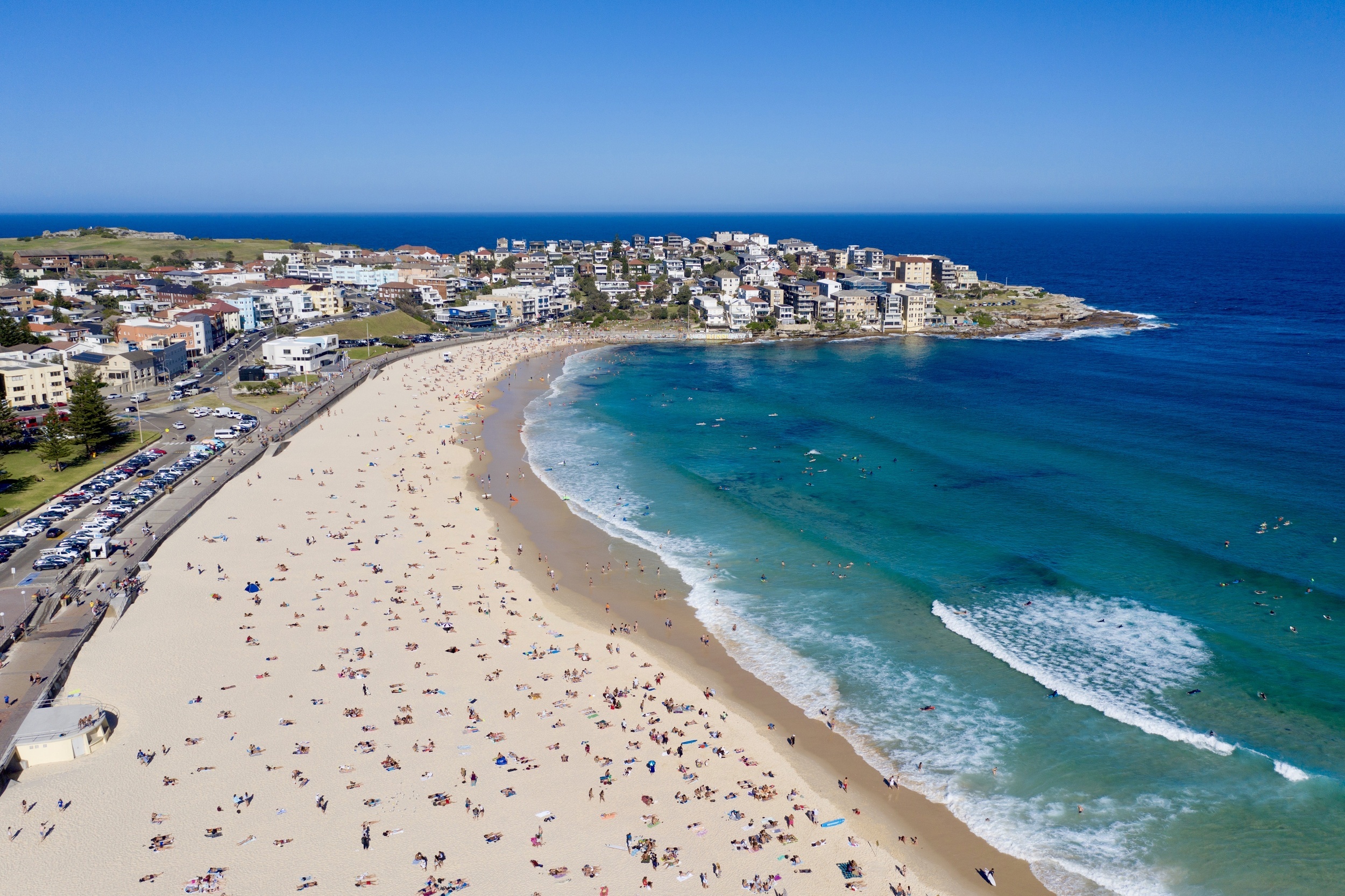<p>Grab a surfboard, brah. You're in Sydney! One of the first things you think of when you think of Sydney is surfing, so why not rent a board and catch some waves? There are surf breaks for everyone.</p><p><a href='https://www.msn.com/en-us/community/channel/vid-cj9pqbr0vn9in2b6ddcd8sfgpfq6x6utp44fssrv6mc2gtybw0us'>Follow us on MSN to see more of our exclusive lifestyle content.</a></p>