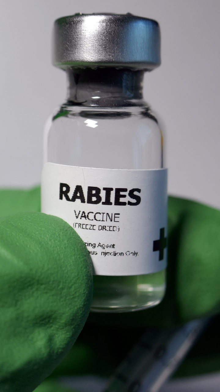 case study about rabies