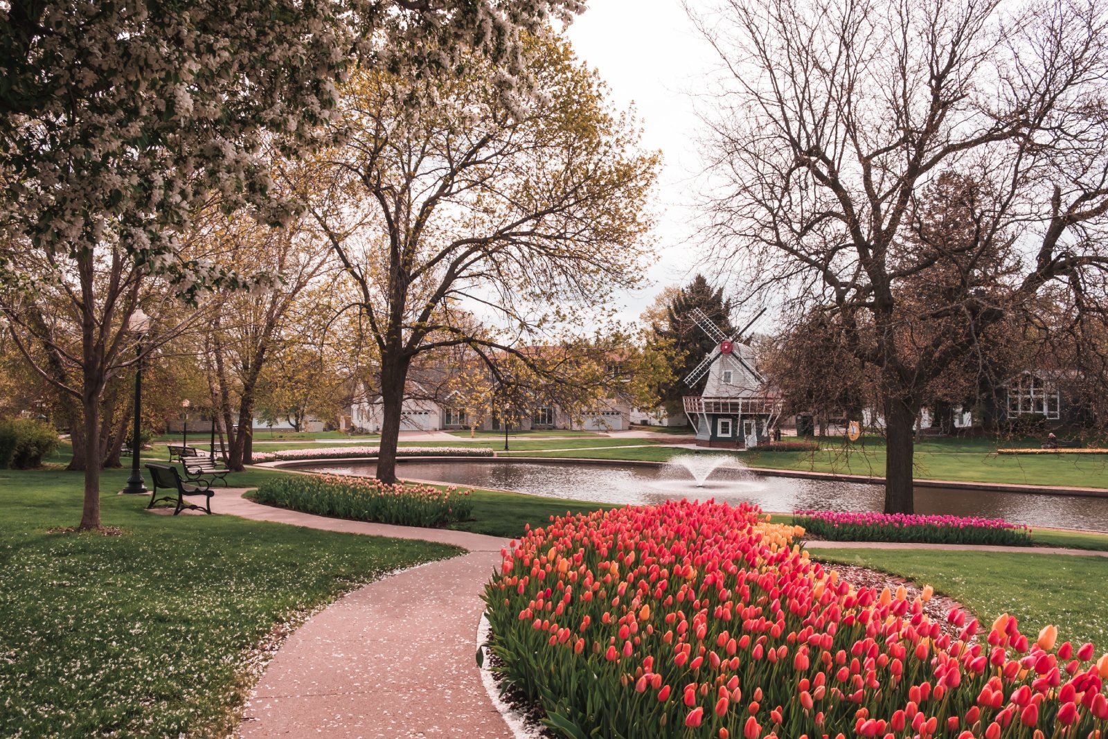 Image Credit: Shutterstock / Bella Bender <p>Pella’s Dutch heritage shines through its architecture, tulip festivals, and unique windmills. A trip here offers a European vibe without the costly flight overseas. It’s a cultural escape in the heart of the Midwest.</p>