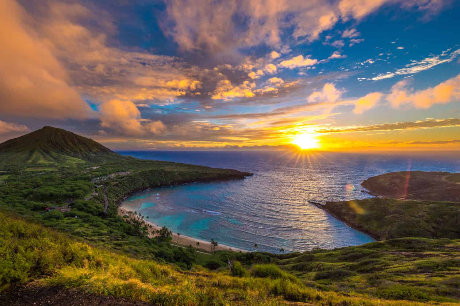 <p>The bay is protected by vertical crater walls formed in a volcanic cone east of Honolulu at nearby Koko Head. This reef ensures tranquil waters ideal for snorkeling and swimming. Hundreds of species of coral and fish such as butterflyfish, moray eels, sea turtles, spinner dolphins, and octopus inhabit the reef.</p>
