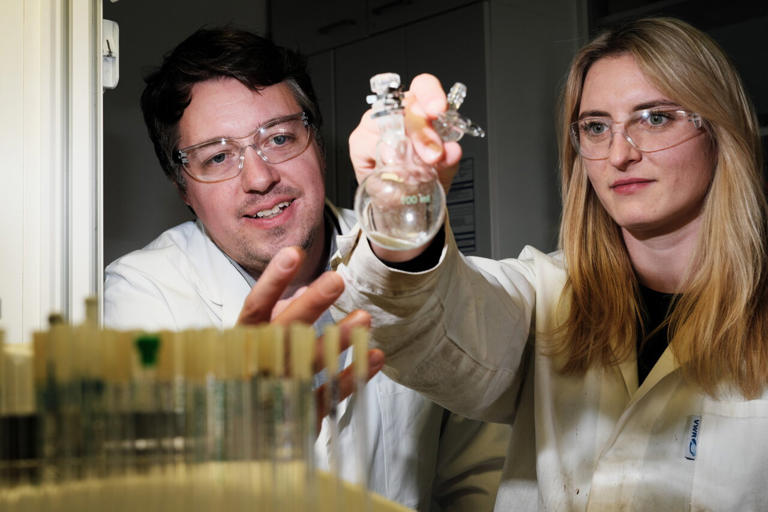 André Schäfer and Inga Bischoff in the laboratory with a sample of their new dimetallocene. Credit: Saarland University/Thorsten Mohr