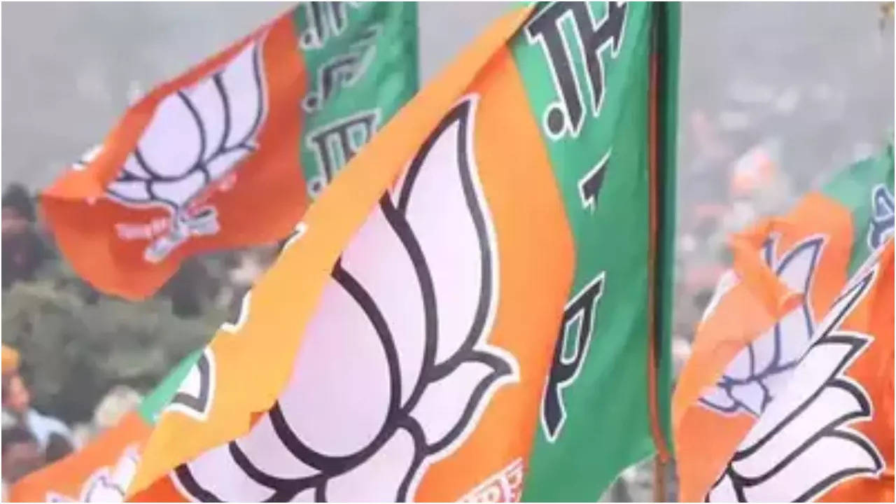 bjp concludes final rally in jind district with focus on upcoming elections