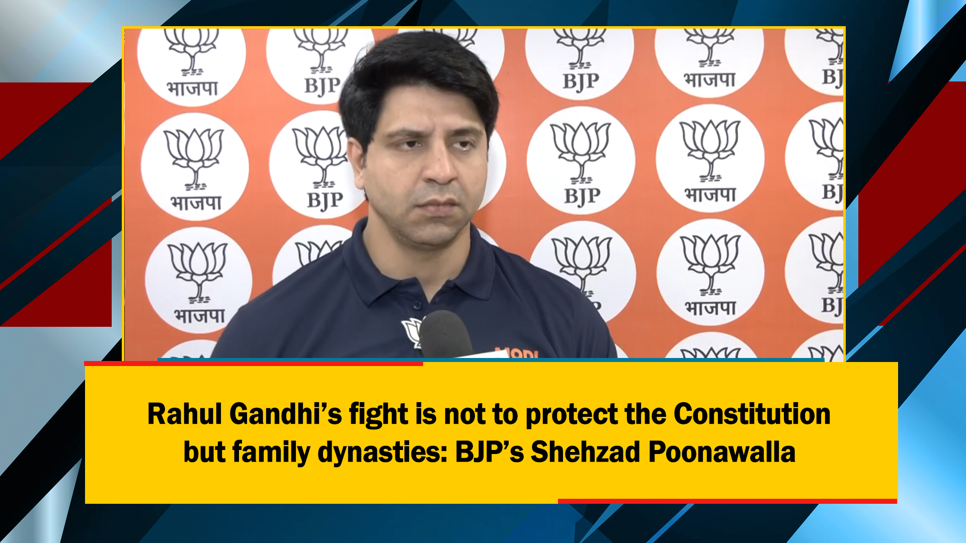 Rahul Gandhi’s Fight Is Not To Protect The Constitution But Family ...